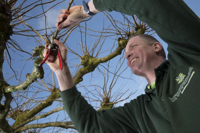 bruggeman-hoveniers-tuinonderhoud-snoeien