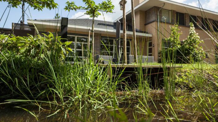 Hemelwaterinfiltratie-Bruggeman-1024x576